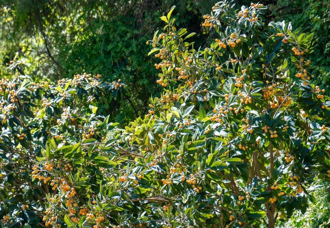 Apartamento en Torremolinos - Perfect Terrace, Amazing views, Great Location  Apartamento en Torremolinos - Perfect Terrace, Amazing views, Great Location